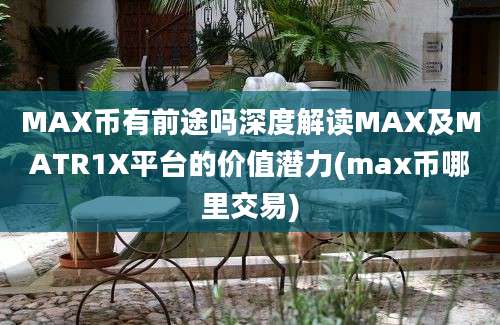 MAX币有前途吗深度解读MAX及MATR1X平台的价值潜力(max币哪里交易)