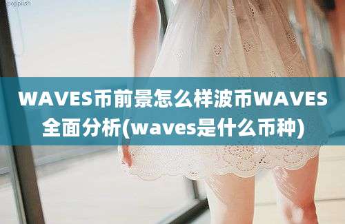 WAVES币前景怎么样波币WAVES全面分析(waves是什么币种)