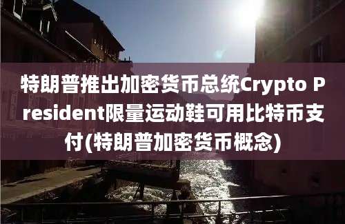 特朗普推出加密货币总统Crypto President限量运动鞋可用比特币支付(特朗普加密货币概念)