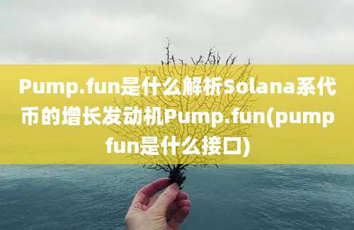 Pump.fun是什么解析Solana系代币的增长发动机Pump.fun(pumpfun是什么接口)