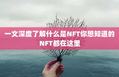 一文深度了解什么是NFT你想知道的NFT都在这里