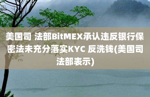 美国司 法部BitMEX承认违反银行保密法未充分落实KYC 反洗钱(美国司法部表示)