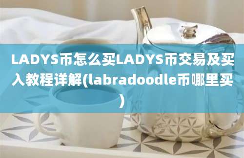 LADYS币怎么买LADYS币交易及买入教程详解(labradoodle币哪里买)