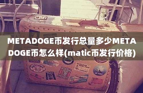 METADOGE币发行总量多少METADOGE币怎么样(matic币发行价格)