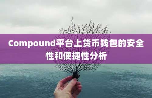 Compound平台上货币钱包的安全性和便捷性分析