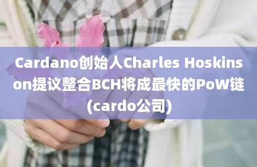 Cardano创始人Charles Hoskinson提议整合BCH将成最快的PoW链(cardo公司)