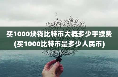 买1000块钱比特币大概多少手续费(买1000比特币是多少人民币)