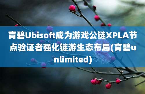 育碧Ubisoft成为游戏公链XPLA节点验证者强化链游生态布局(育碧unlimited)