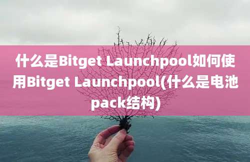 什么是Bitget Launchpool如何使用Bitget Launchpool(什么是电池pack结构)