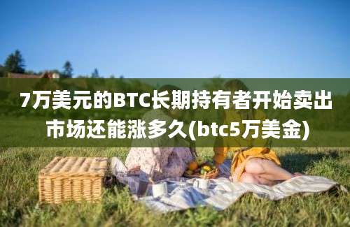 7万美元的BTC长期持有者开始卖出 市场还能涨多久(btc5万美金)