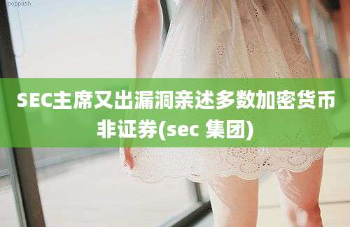 SEC主席又出漏洞亲述多数加密货币非证券(sec 集团)