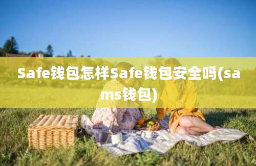 Safe钱包怎样Safe钱包安全吗(sams钱包)