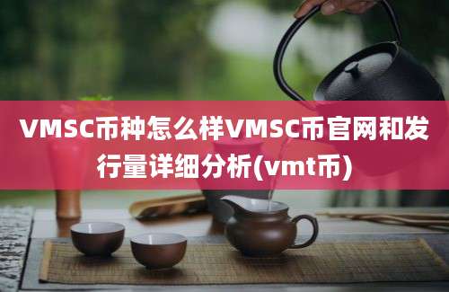 VMSC币种怎么样VMSC币官网和发行量详细分析(vmt币)