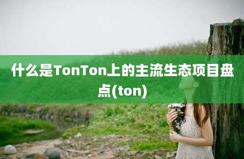 什么是TonTon上的主流生态项目盘点(ton)