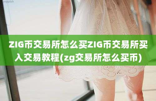 ZIG币交易所怎么买ZIG币交易所买入交易教程(zg交易所怎么买币)