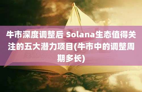 牛市深度调整后 Solana生态值得关注的五大潜力项目(牛市中的调整周期多长)