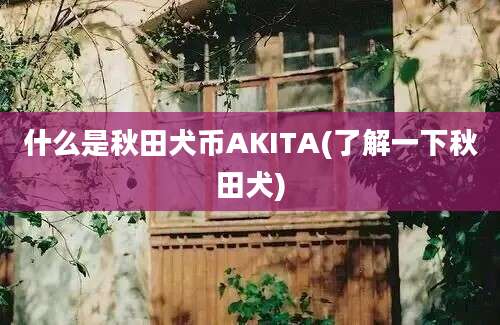 什么是秋田犬币AKITA(了解一下秋田犬)