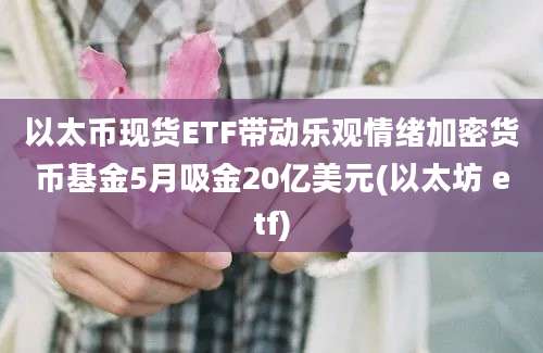 以太币现货ETF带动乐观情绪加密货币基金5月吸金20亿美元(以太坊 etf)