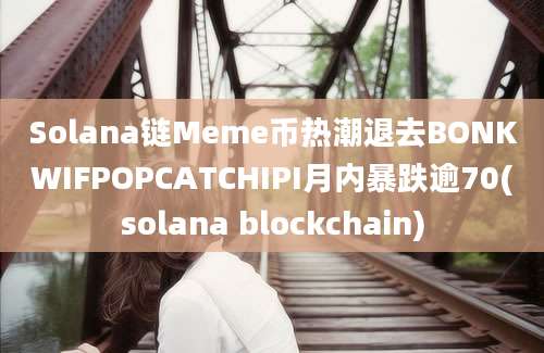 Solana链Meme币热潮退去BONKWIFPOPCATCHIPI月内暴跌逾70(solana blockchain)