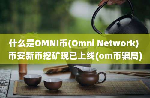 什么是OMNI币(Omni Network) 币安新币挖矿现已上线(om币骗局)