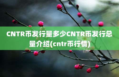 CNTR币发行量多少CNTR币发行总量介绍(cntr币行情)