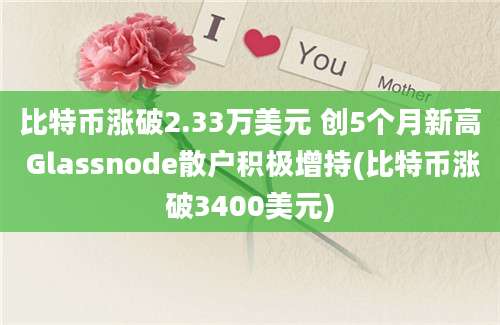 比特币涨破2.33万美元 创5个月新高 Glassnode散户积极增持(比特币涨破3400美元)