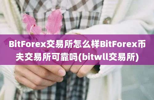 BitForex交易所怎么样BitForex币夫交易所可靠吗(bitwll交易所)