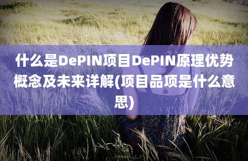 什么是DePIN项目DePIN原理优势概念及未来详解(项目品项是什么意思)