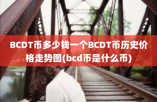 BCDT币多少钱一个BCDT币历史价格走势图(bcd币是什么币)