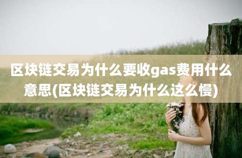 区块链交易为什么要收gas费用什么意思(区块链交易为什么这么慢)