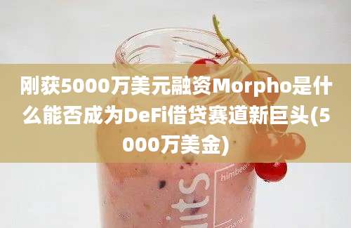 刚获5000万美元融资Morpho是什么能否成为DeFi借贷赛道新巨头(5000万美金)