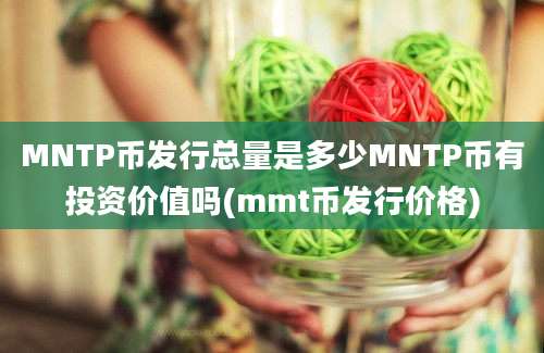 MNTP币发行总量是多少MNTP币有投资价值吗(mmt币发行价格)