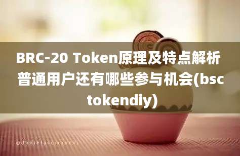 BRC-20 Token原理及特点解析 普通用户还有哪些参与机会(bsc tokendiy)