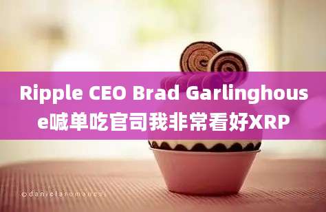 Ripple CEO Brad Garlinghouse喊单吃官司我非常看好XRP