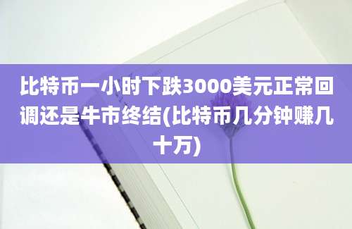 比特币一小时下跌3000美元正常回调还是牛市终结(比特币几分钟赚几十万)