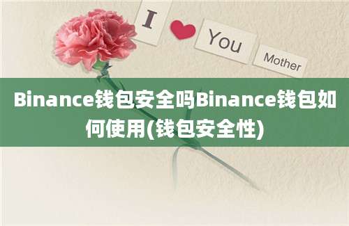 Binance钱包安全吗Binance钱包如何使用(钱包安全性)