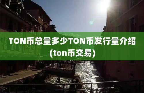 TON币总量多少TON币发行量介绍(ton币交易)