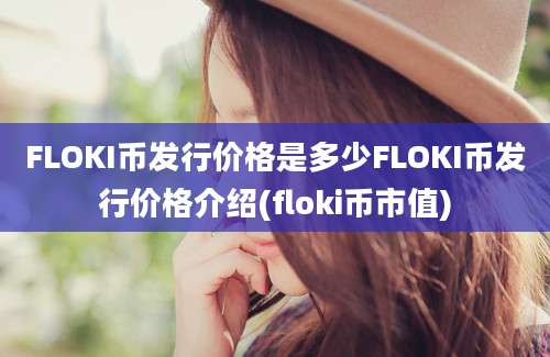 FLOKI币发行价格是多少FLOKI币发行价格介绍(floki币市值)