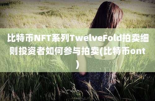 比特币NFT系列TwelveFold拍卖细则投资者如何参与拍卖(比特币ont)