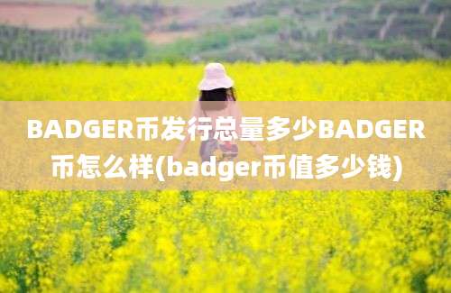 BADGER币发行总量多少BADGER币怎么样(badger币值多少钱)