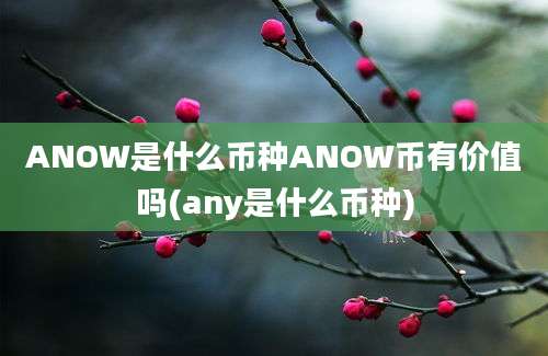 ANOW是什么币种ANOW币有价值吗(any是什么币种)