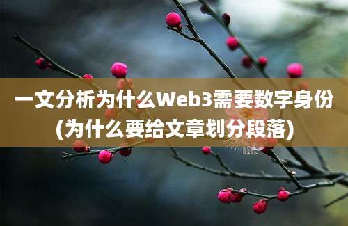 一文分析为什么Web3需要数字身份(为什么要给文章划分段落)