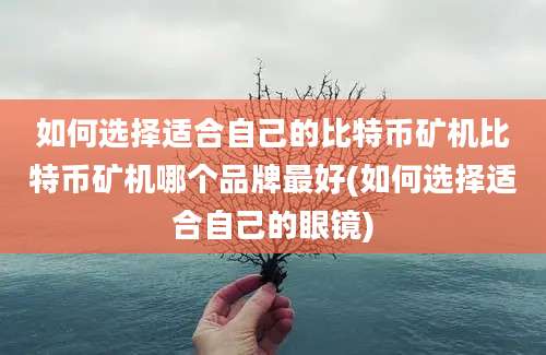 如何选择适合自己的比特币矿机比特币矿机哪个品牌最好(如何选择适合自己的眼镜)