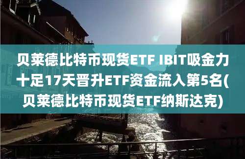 贝莱德比特币现货ETF IBIT吸金力十足17天晋升ETF资金流入第5名(贝莱德比特币现货ETF纳斯达克)