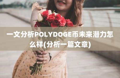 一文分析POLYDOGE币未来潜力怎么样(分析一篇文章)