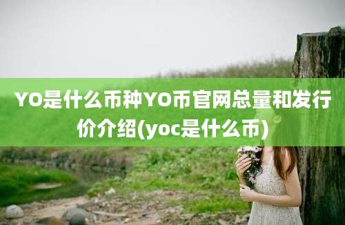 YO是什么币种YO币官网总量和发行价介绍(yoc是什么币)