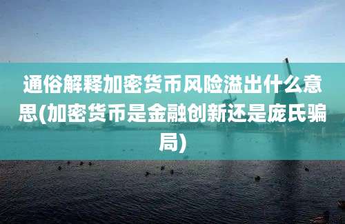 通俗解释加密货币风险溢出什么意思(加密货币是金融创新还是庞氏骗局)