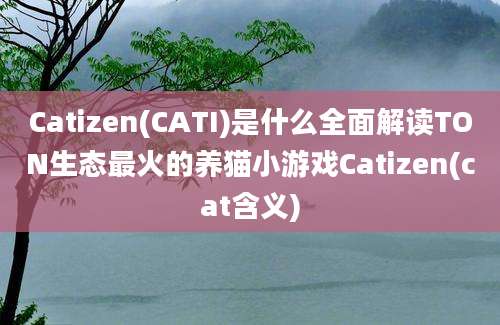 Catizen(CATI)是什么全面解读TON生态最火的养猫小游戏Catizen(cat含义)