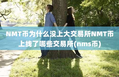 NMT币为什么没上大交易所NMT币上线了哪些交易所(nms币)