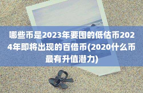 哪些币是2023年要囤的低估币2024年即将出现的百倍币(2020什么币最有升值潜力)